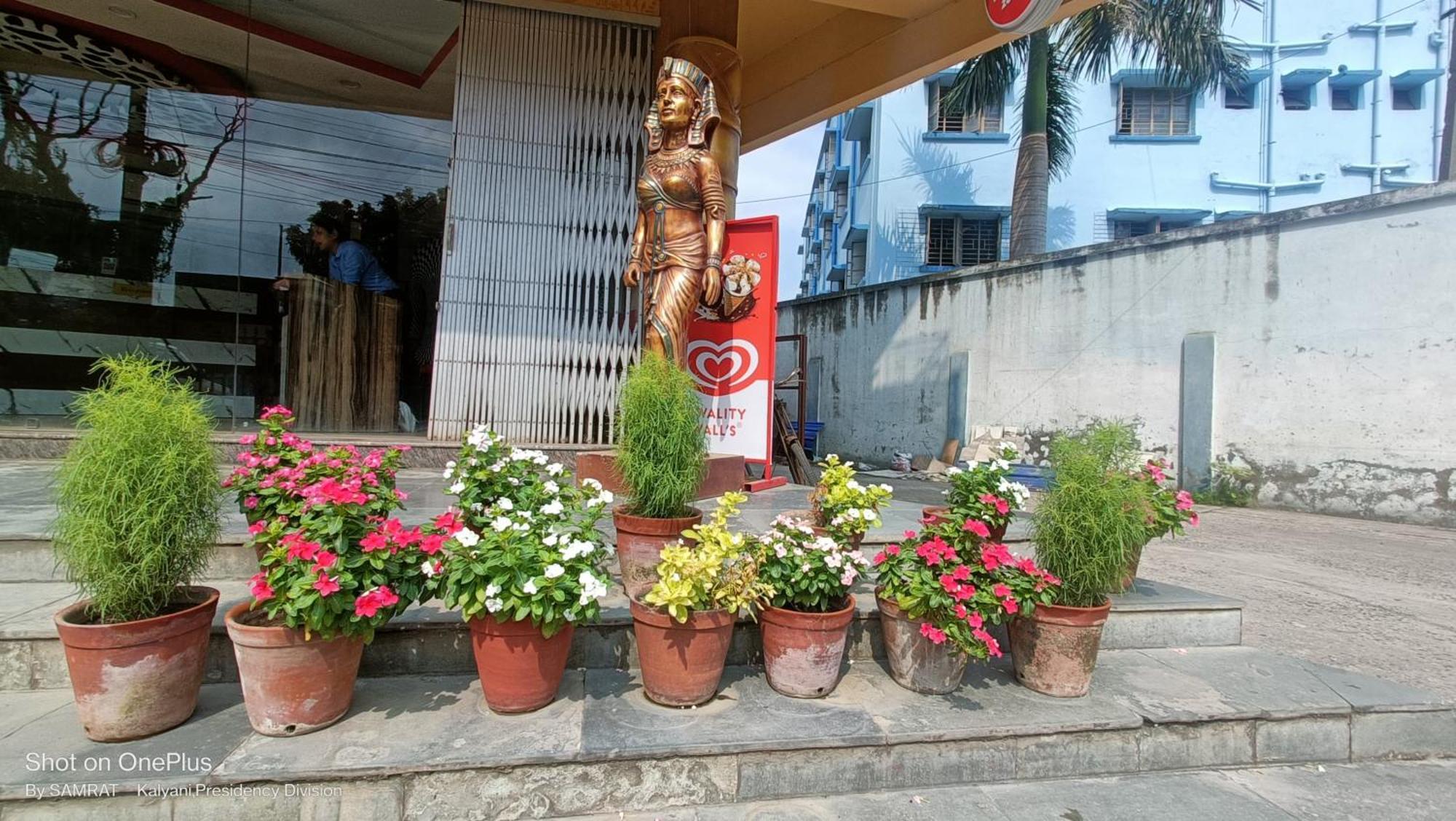 Trisplanet Hotel Kalyani Exterior photo